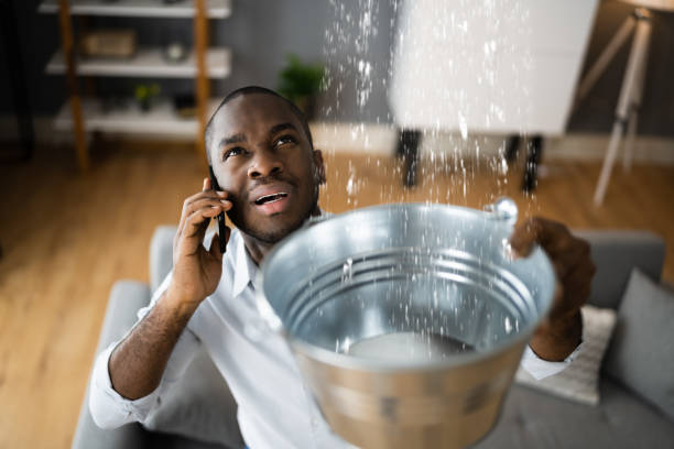 Best Water damage restoration near me  in Fords, NJ