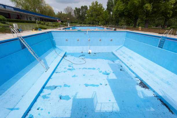 Best Mold removal after water damage  in Fords, NJ