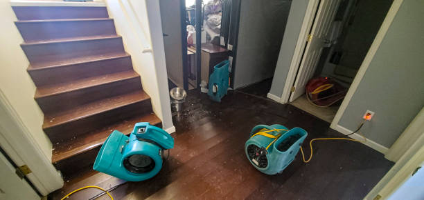 Best Water damage cleanup near me  in Fords, NJ