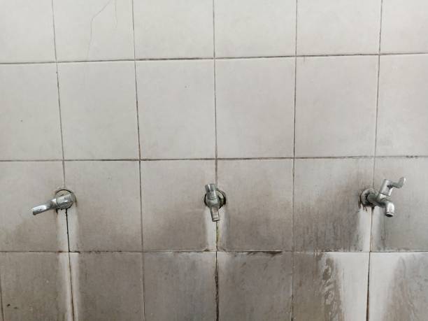 Best Water damage restoration near me  in Fords, NJ