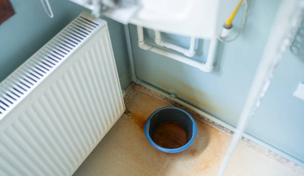 Best Water damage restoration mold remediation  in Fords, NJ